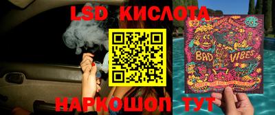 спиды Кимры