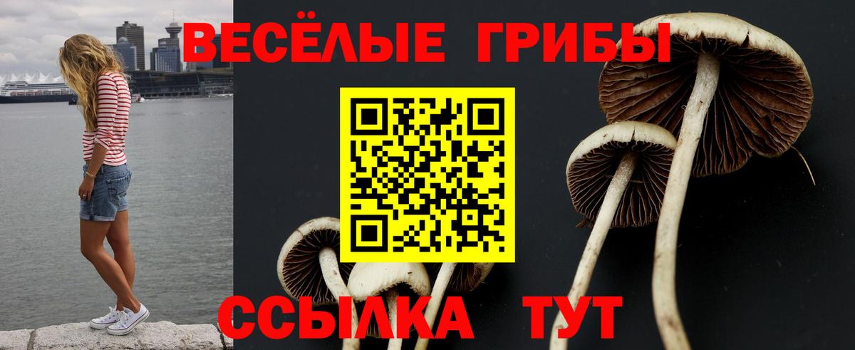 Дюртюли  Галлюциногенные грибы мухоморы  Вход с VPN 